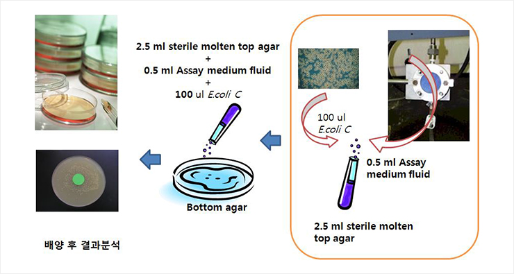 Penetration by blood-borne pathogens