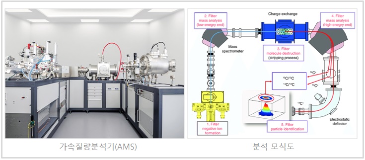 Biomass, 바이오탄소 Biocarbon 이미지